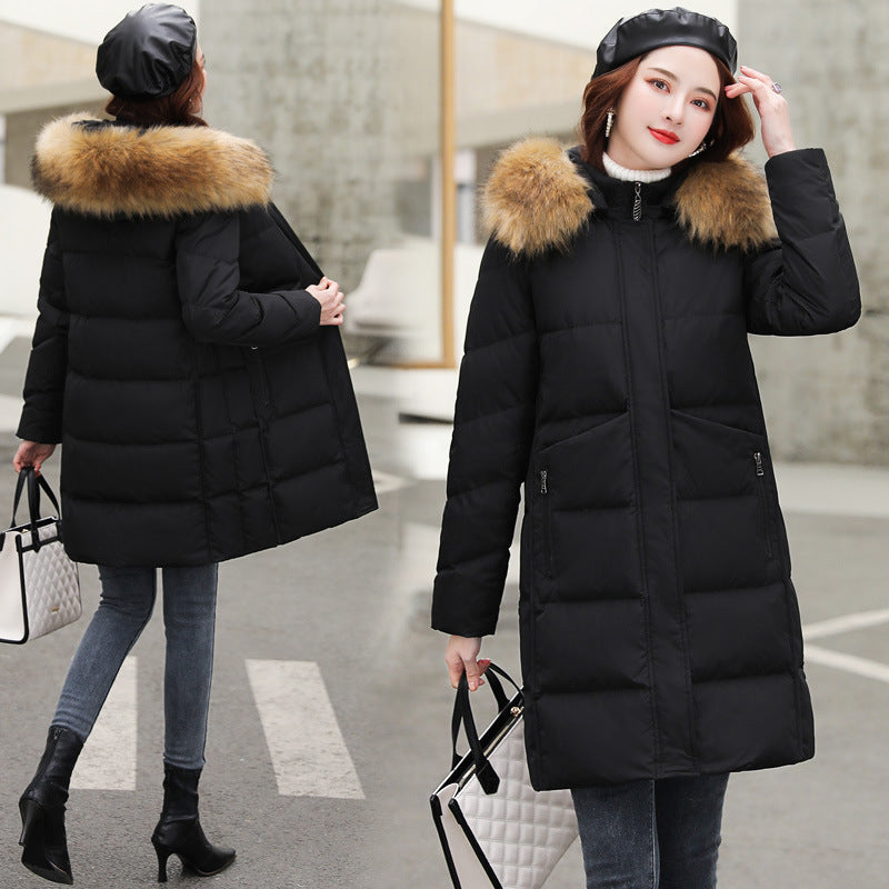 Carla | Puffer Winterjas - Dames