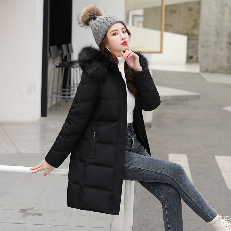 Carla | Puffer Winterjas - Dames
