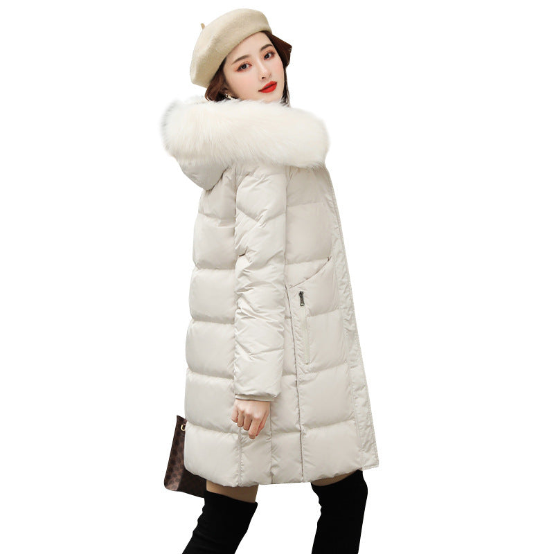 Carla | Puffer Winterjas - Dames